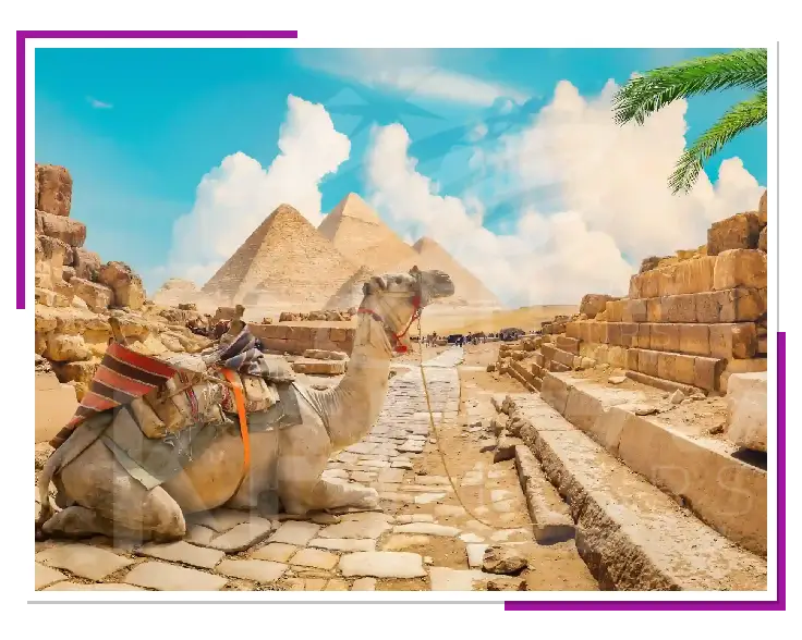 افضل شركة سياحة فى مصر
